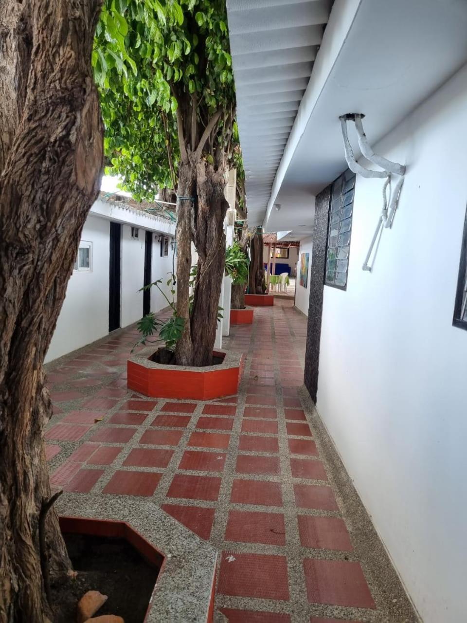 Hotel Mayte Fonseca Exterior photo